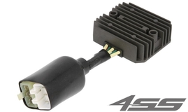 Voltage regulator TourMax RGU-127