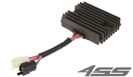 Voltage regulator TourMax RGU-303