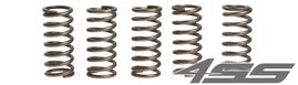 Clutch springs EBC CSK 135