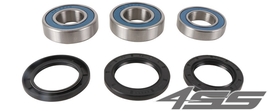 Rear wheel bearing kit AB 25-1798
